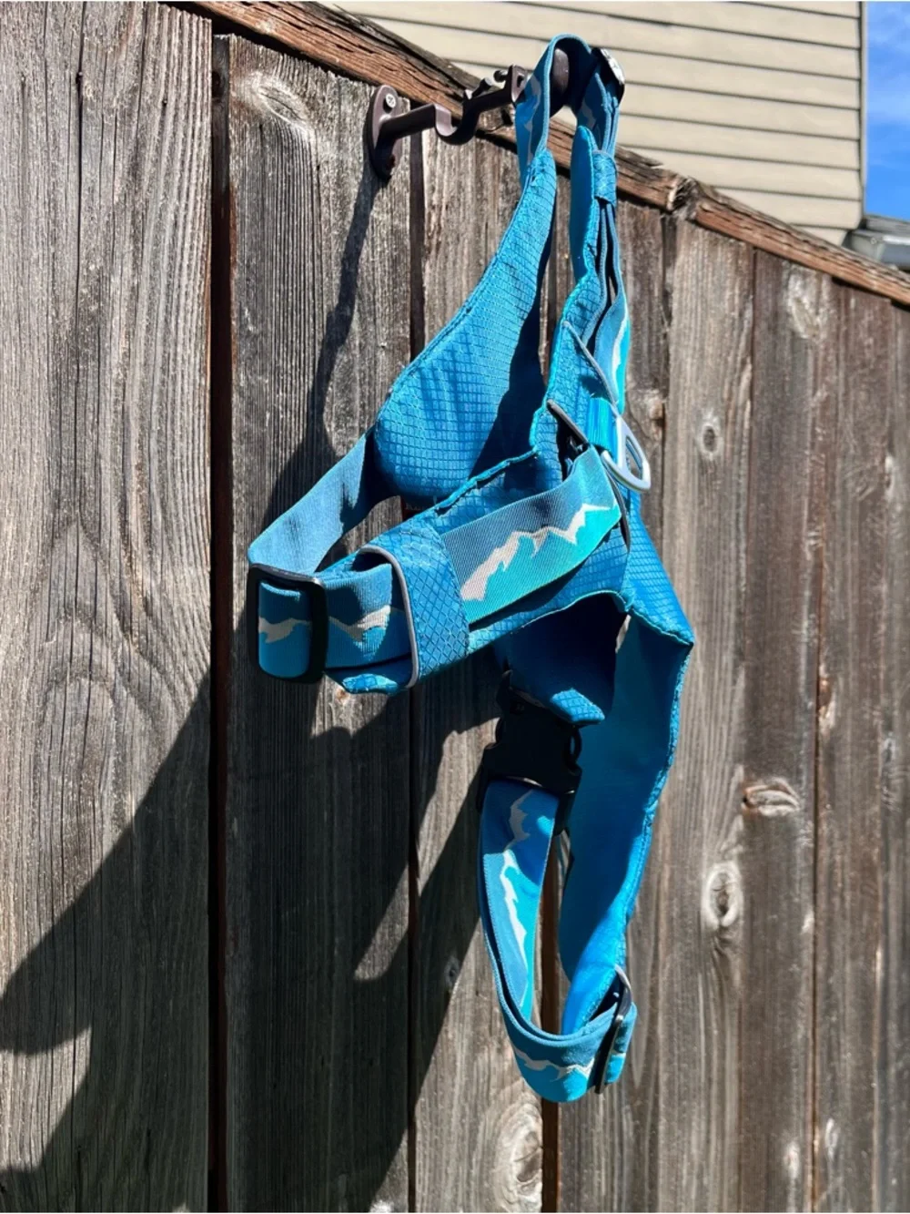 Lightweight teal outdoor Arcadia trail harness